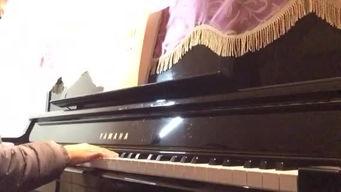 成人电子钢琴弹奏视频播放,揭秘成人电子钢琴弹奏之美