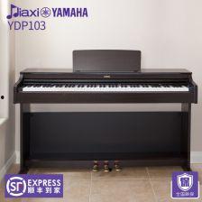 成人电子钢琴弹奏视频播放,揭秘成人电子钢琴弹奏之美