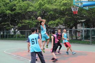 投篮成人教学视频,成人教学视频精华解析