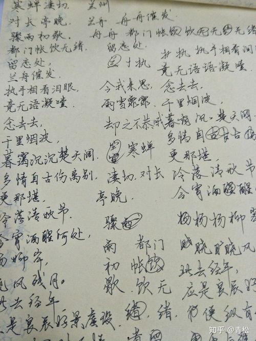 成人硬笔字怎样练好视频,跟随视频轻松练就成人硬笔好字