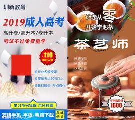 成人学茶艺视频,跟随视频轻松掌握茶道精髓