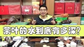 成人学茶艺视频,跟随视频轻松掌握茶道精髓