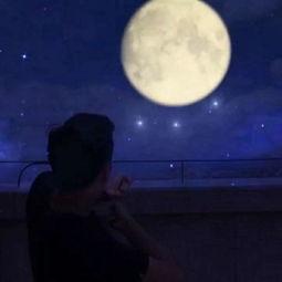 中秋独舞成人舞视频大全,成人舞视频大全精选回顾