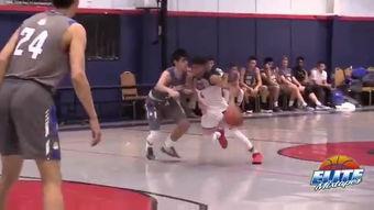 篮球馆成人训练视频,全方位提升篮球技能攻略