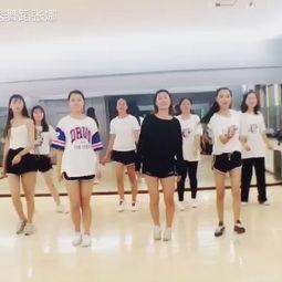 退休成人舞蹈视频大全集,精彩纷呈的成人舞蹈视频大全集赏析