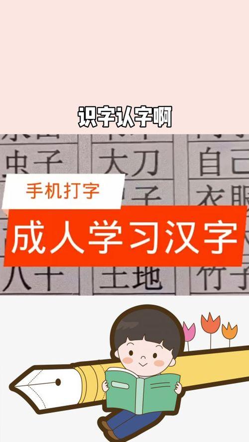 潮汕成人识字视频,传承方言文化，点亮智慧之光  第3张