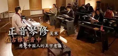 成人如何学好古琴视频  第2张